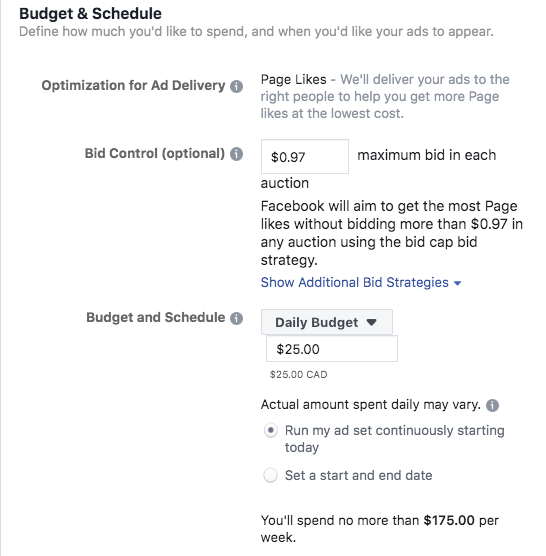 Facebook-budget