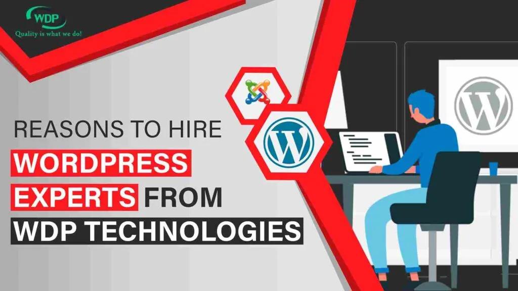 Hire WordPress Experts