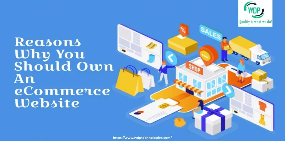 Reasons Why You Should Own An eCommerce Website
